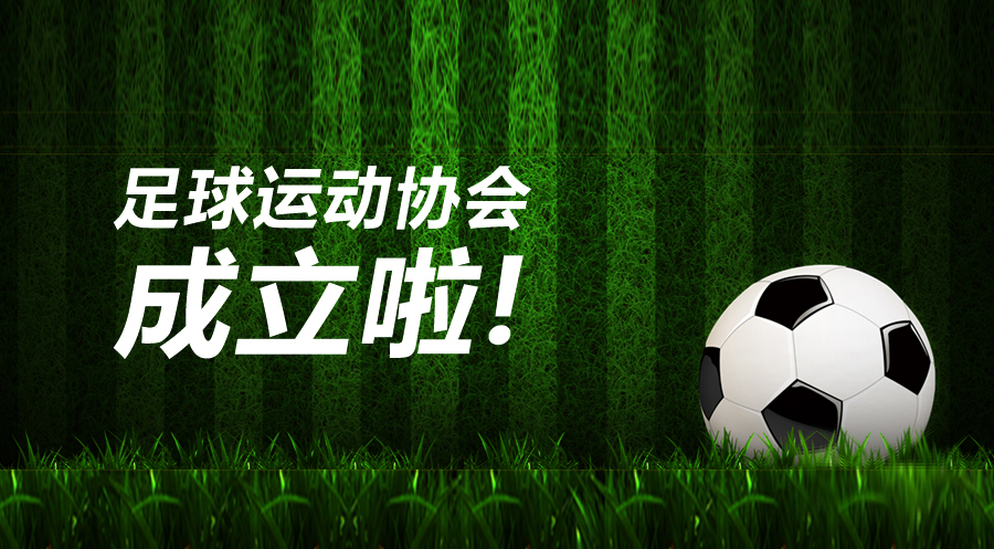 热烈庆贺滕州市足球运动协会于飞天光电正式成立