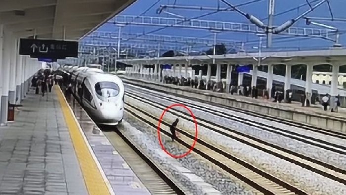 一名旅客跳下站台，经股道抄近路出站被拘，站台需要安全防范！