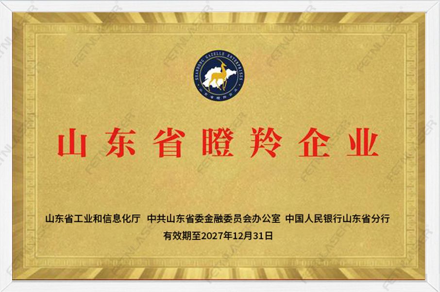 山东省瞪羚企业