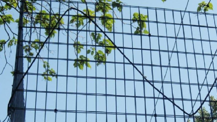 科技安防新视角：防区式振动光纤守护能源场站周界安全